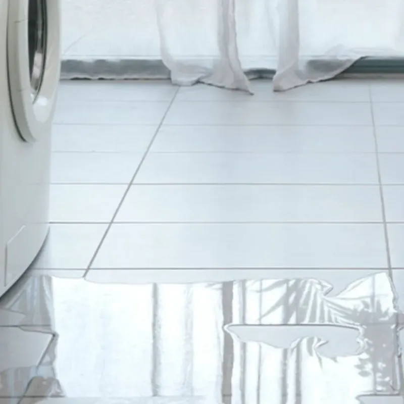 Appliance Leak Cleanup in Tracyton, WA