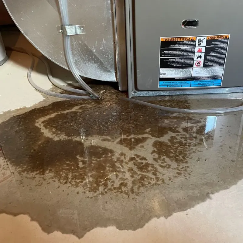 Pipe Burst and Leak Restoration in Tracyton, WA
