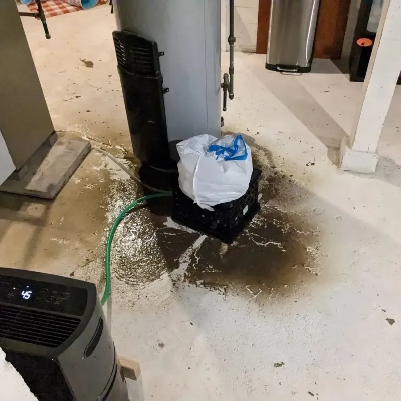 Sewage Backup Cleanup Service in Tracyton, WA
